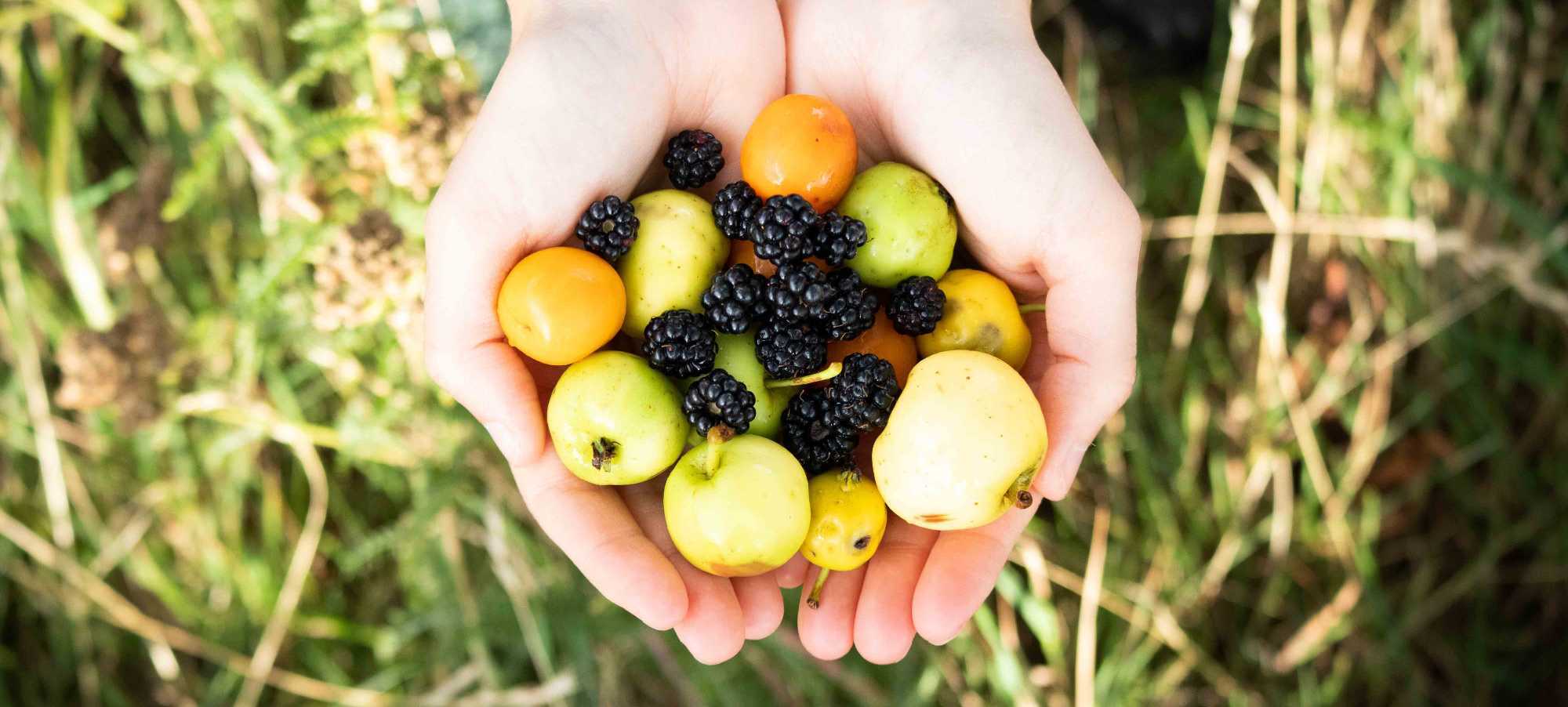 foragersL